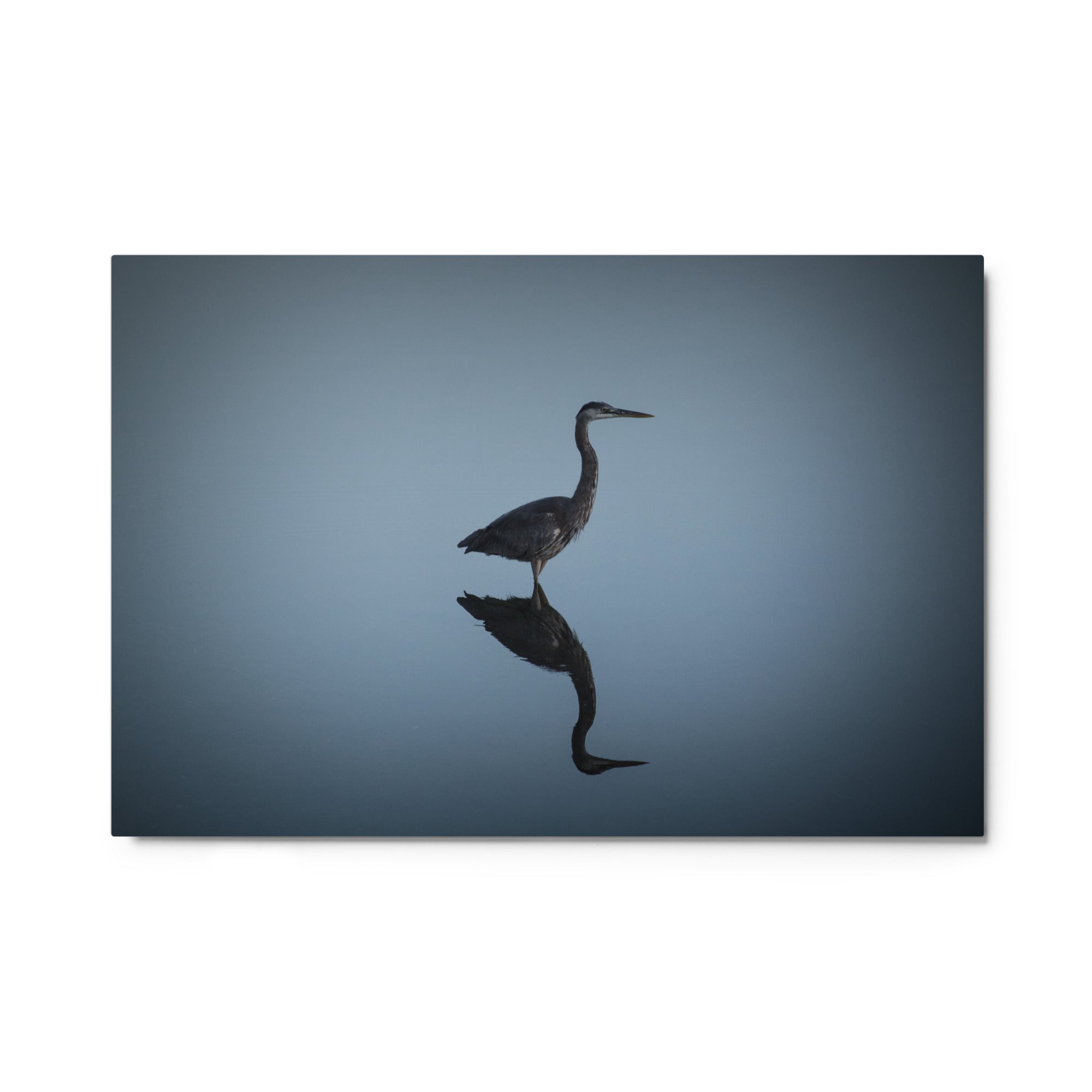 Great Blue Heron No. 19